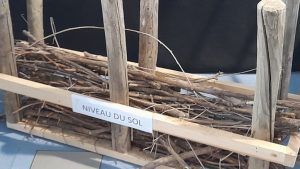 Inondea2