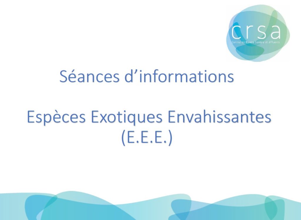 Formationees 5