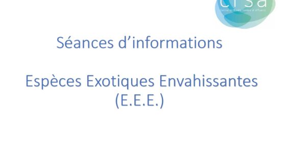Formationees 5